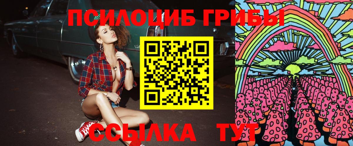Псилоцибиновые грибы Psilocybe  Вход с VPN  Чебаркуль 